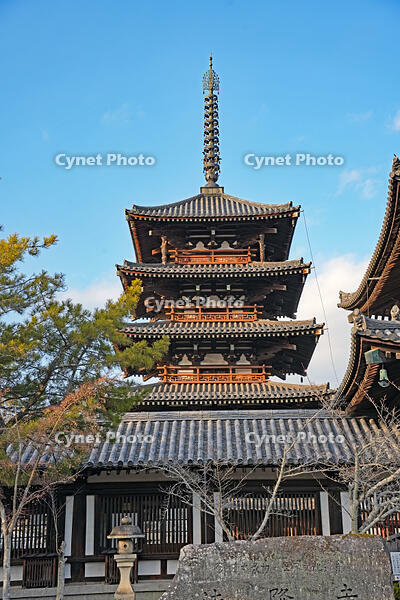 法隆寺　五重塔　奈良県　斑鳩町 [MAS110008893]