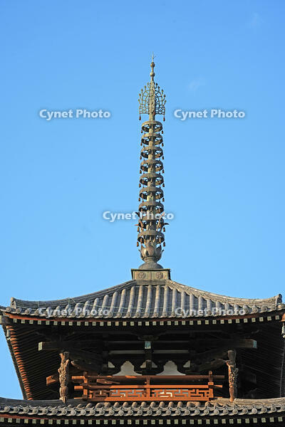 法隆寺　五重塔　奈良県　斑鳩町 [MAS110008895]