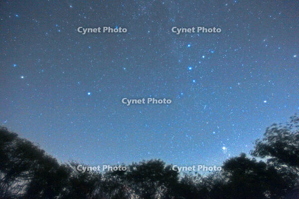 カシオペヤ座と北極星　09.10.20　PM6.25　群馬県　下仁田町 [MAS110009346]