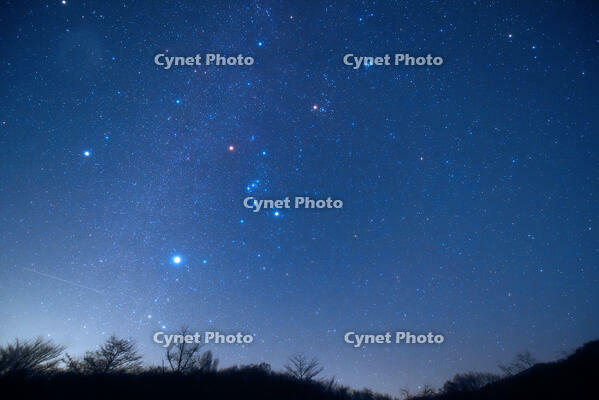 冬の星座　左上に木星があったが画像処理で消去　2025.12.16　22h53m　群馬県　下仁田町 [MAS110009366]
