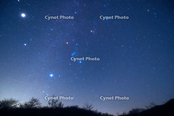 冬の星座　左上の輝星は木星　2025.12.16　22h53m　群馬県　下仁田町 [MAS110009369]