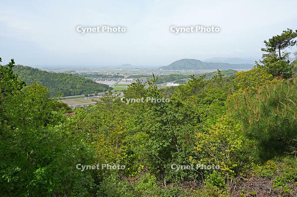 小谷城跡　望笙峠から西方の様子　滋賀県　長浜市 [MAS110009820]