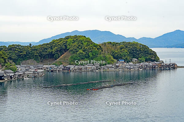 伊根湾の養殖いかだ　京都府　伊根町 [MAS110009835]