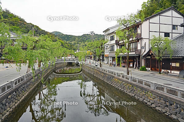城崎温泉　兵庫県　豊岡市 [MAS110009846]