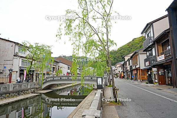 城崎温泉　兵庫県　豊岡市 [MAS110009856]