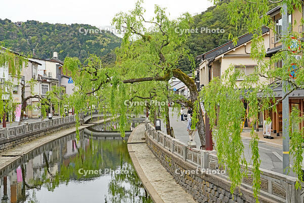 城崎温泉　兵庫県　豊岡市 [MAS110009858]