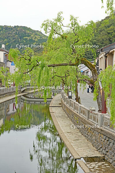 城崎温泉　兵庫県　豊岡市 [MAS110009859]