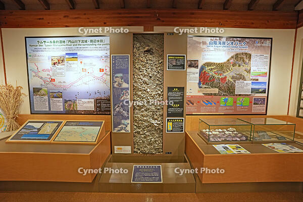 兵庫県立コウノトリの郷公園　コウノトリ文化館の展示　兵庫県　豊岡市 [MAS110009864]