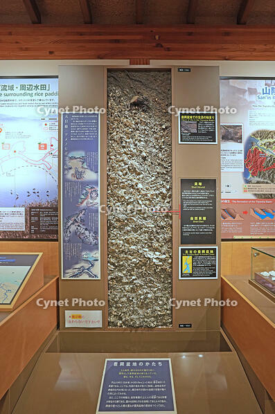 兵庫県立コウノトリの郷公園　コウノトリ文化館の展示　兵庫県　豊岡市 [MAS110009865]