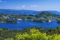 亀山より望む唐桑瀬戸　 [YHI110010184]