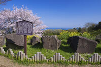 石垣山一夜城跡の石垣用石材 [YHI110010108]