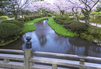 桜咲く兼六園 [YHI110010150]