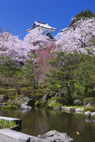 桜咲く金沢城 [YHI110010158]