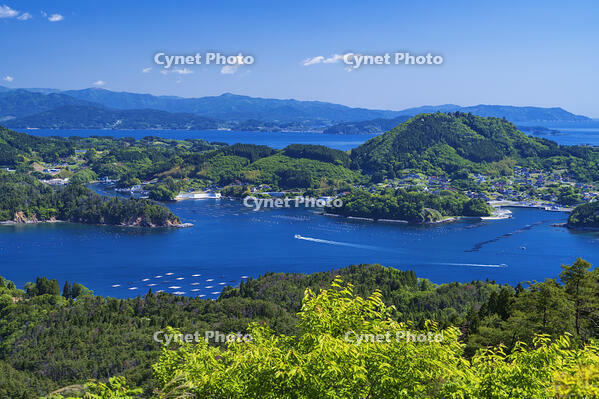 亀山より望む唐桑瀬戸　 [YHI110010184]