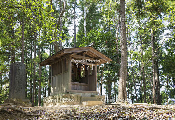 八王子城跡 [YHI110010081]