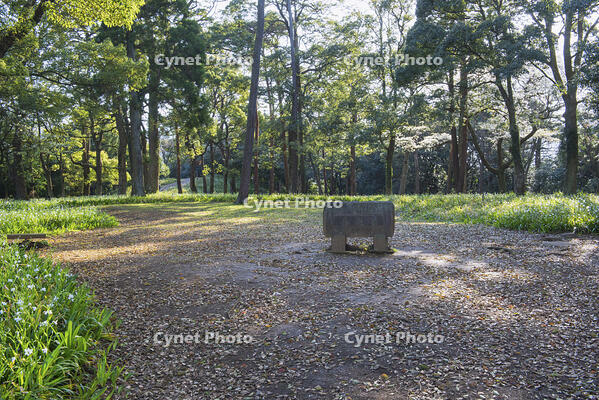 石垣山一夜城跡 [YHI110010105]