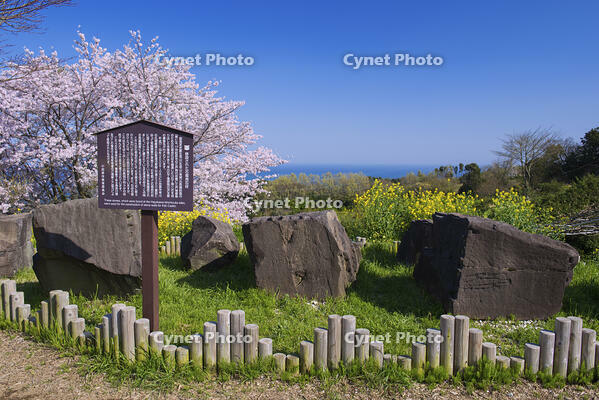 石垣山一夜城跡の石垣用石材 [YHI110010108]