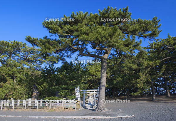 三保の松原の羽車神社 [YHI110010144]