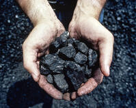 coal [SPS110000007]