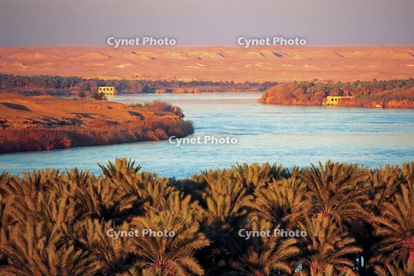 The Euphrates River, Palm Groves, and Desert Beyond from Albu Hyatt, in Iraq's Anbar Province [SPS110000049]