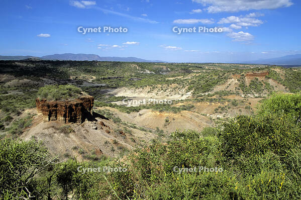 Tanzania, Olduvai Gorge, Site Of Man'S Earliest Ancestors In East Africa [SPS110000057]
