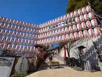 放生寺　冬至祭　東京都 [YOS110002317]