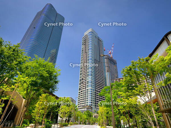 麻布台ヒルズ　東京都 [YOS110000197]