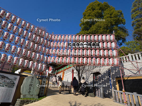放生寺　冬至祭　東京都 [YOS110002312]