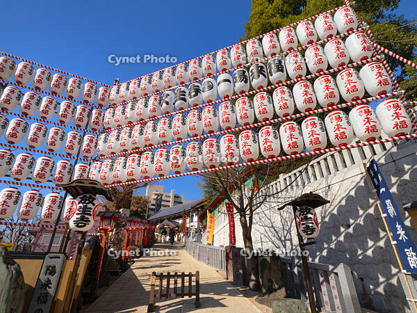 放生寺　冬至祭　東京都 [YOS110002314]