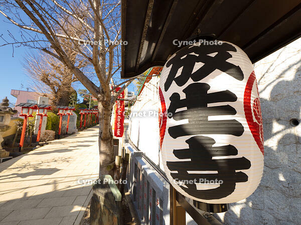 放生寺　冬至祭　東京都 [YOS110002315]