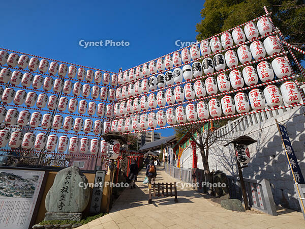 放生寺　冬至祭　東京都 [YOS110002317]
