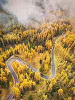 Aerial View of Road in Autumn, Passo Giau, near Cortina d' Ampezzo, Dolomites,  Belluno, Veneto, Italy [AWL110001498]