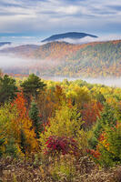 Fog at sunrise in autumn, Adirondack Mountains, New York, USA [AWL110001502]