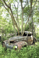 USA, White, Georgia, Old Car City USA, Classic Car & Truck Collection, Junkyard, Museum [AWL110001590]