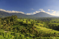 Indonesia, Bali, Central Mountains, Jatiluwih Rice Fields (UNESCO Site) with Mt. Pohen in the background [AWL110001679]