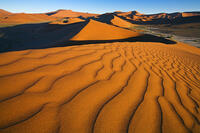 Sand dunes at Soussusvlei,  Namib-Naukluft National Park, Namibia, Africa [AWL110001694]