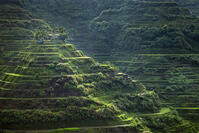 Asia, South East Asia, Philippines, Cordilleras, Banaue; UNESCO World heritage listed Ifugao rice terraces near Banaue [AWL110001702]