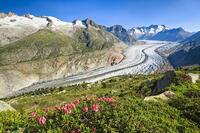 Aletsch glacier and Wannenhorner, Canton of Valais, Switzerland [AWL110001718]