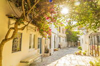 A small alley in Kos Town, Kos, Dodecanese Islands, Greece [AWL110001934]