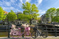 Decorated bicycles on Brouwersgracht canal, Amsterdam, Netherlands [AWL110002038]