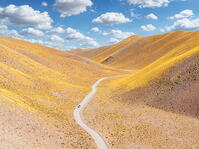 Car traveling through yellow slopes, Vega de los Colorados, Puna, Catamarca, Argentina [AWL110002075]