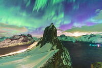 Northern Lights over Fjordgard and Mefjorden and the snowy Segla mountain, Senja, Troms county, Norway [AWL110002105]