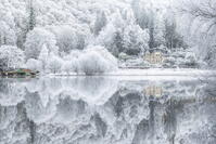 Hoar Frost reflected in Loch Ard, Loch Lommond and the Trossachs National Park, Stirlingshire, Scotland, UK, December 2024 [AWL110002109]