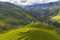 Aerial view of rice terraces, Mu Cang Chai, Northwest Vietnam, Asia [AWL110002122]