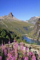 Switzerland, Graubunden, Vals, Zervreilasee Reservoir and Zervreilahorn Peak [AWL110002128]