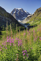 Mt. Collon in Arolla Valley, Val d'Herens, Valais, Switzerland [AWL110002151]