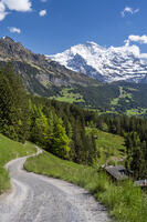 Snow-capped Jungfrau, Wengen, Canton of Bern, Switzerland [AWL110002162]