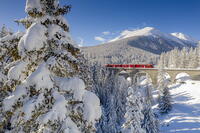 Trees covered with snow surrounding the red Bernina Express train in winter, Chapella, Graubunden canton, Engadine, Switzerland [AWL110002179]