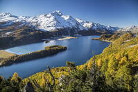 Lake Sils with its shores painted by autumn. In the background the Margna peak already capped with snow. Canton Graubuenden. Engadine. Switzerland. Europe [AWL110002181]
