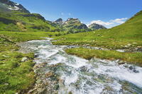 Mountain impression at mountain brook Julia - Switzerland, Graubunden, Engadin, Julier Pass - Alps, Rhaetian Alps, Albula Alps [AWL110002182]